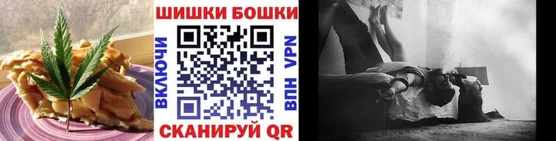 где можно купить   блэк спрут вход  Canna-Cookies марихуана  Колпашево 