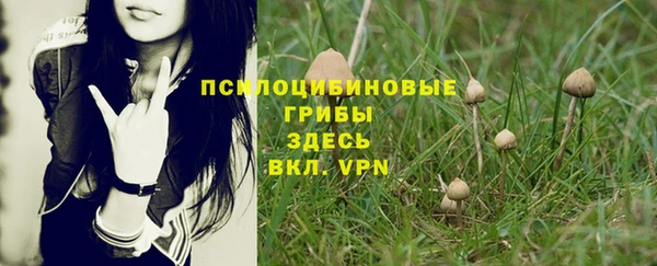 каннабис Богородск