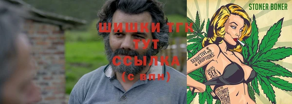 PSILOCYBIN Богданович