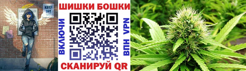 купить закладку Колпашево Шишки марихуана план